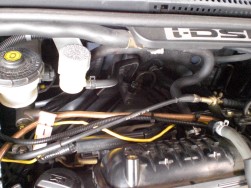 CIMG1284.JPG